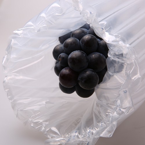 Grapes bag in airbag
