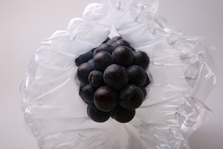 Grapes bag in airbag